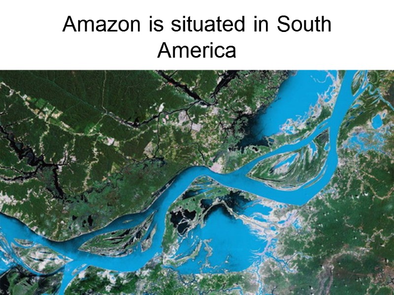 Amazon is situated in South America